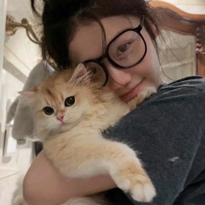 老鼠逗猫